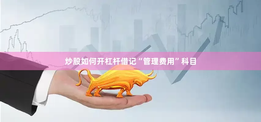炒股如何开杠杆借记“管理费用”科目