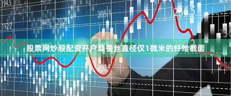 股票网炒股配资开户桑蚕丝直径仅1微米的纤维截面