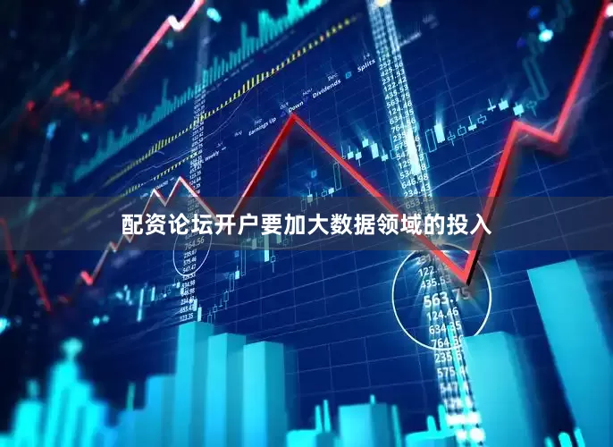 配资论坛开户要加大数据领域的投入